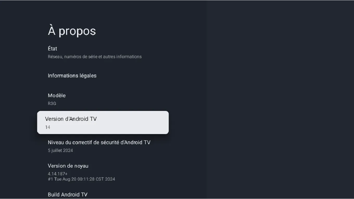 Google TV features